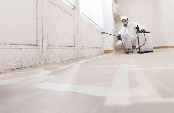 24/7 Emergency Commercial Mold Remediation experts in Dorr, MI
