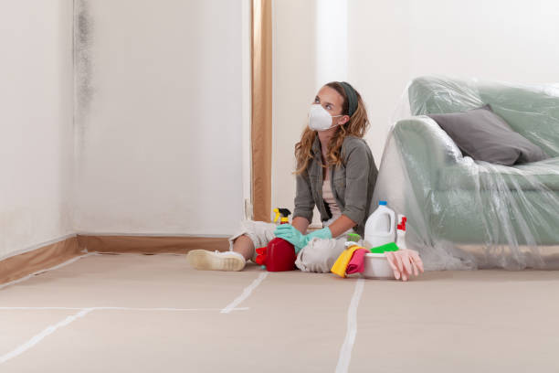 Reliable Commercial Mold Remediation contractor in Dorr, MI by WQB Mold Removal